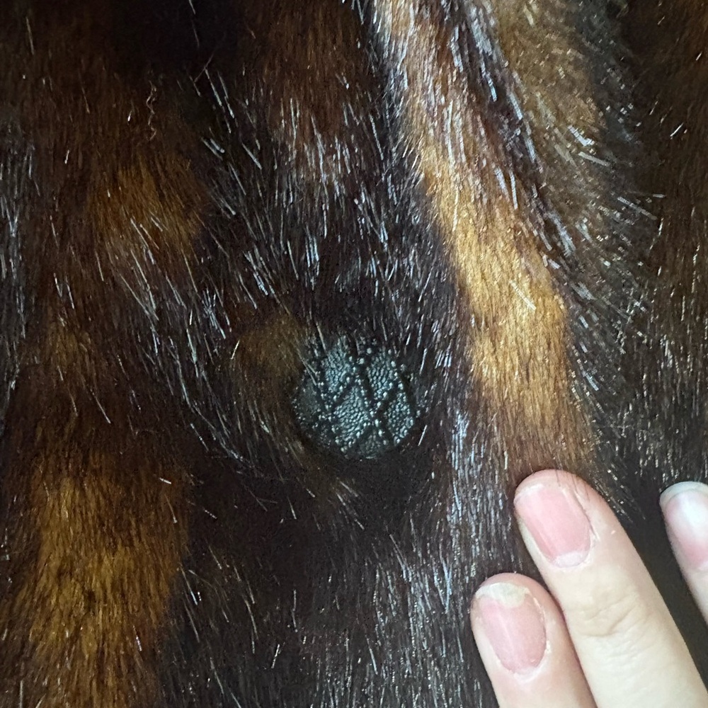Vintage Faux Fur Coat XL Brown Mink Look Made in USA Olympia Limited Glam Winter - Picture 5 of 10